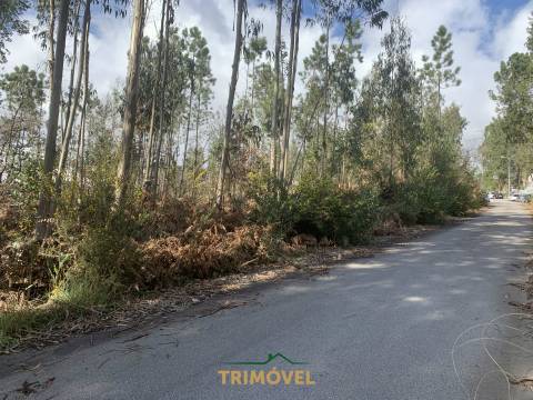 Terreno em Zona Industrial