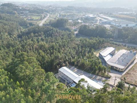 Terreno em Zona Industrial