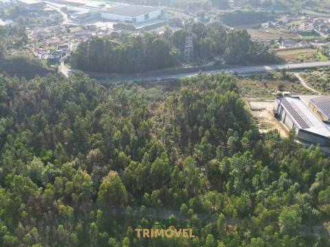 Terreno em Zona Industrial