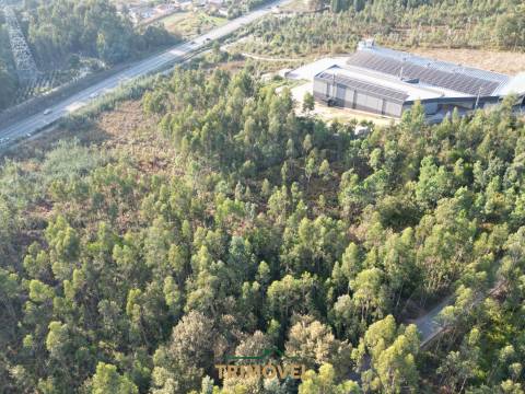 Terreno em Zona Industrial