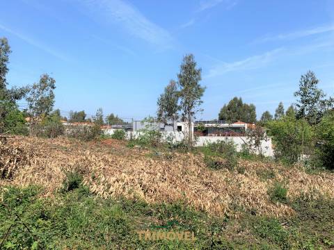 Lote de Terreno  Venda em São Roque,Oliveira de Azeméis