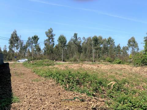 Lote de Terreno  Venda em São Roque,Oliveira de Azeméis