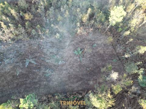 Lote de Terreno  Venda em São Roque,Oliveira de Azeméis