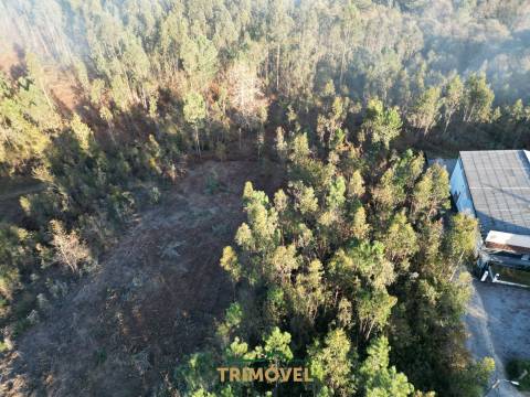 Lote de Terreno  Venda em São Roque,Oliveira de Azeméis
