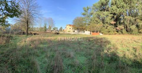 Terreno plano para construção, em São Roque