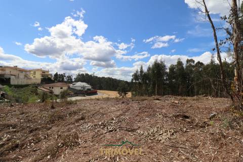 Terreno para construção - Nogueira do Cravo