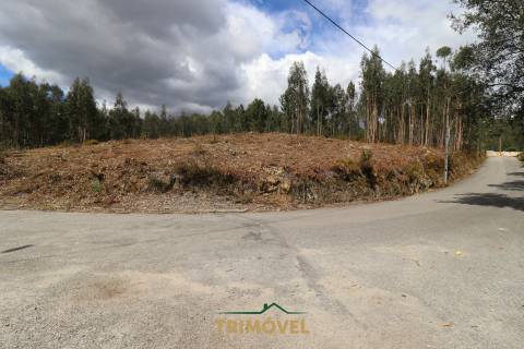 Terreno para construção - Nogueira do Cravo