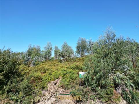 Terreno para construção - Nogueira do Cravo