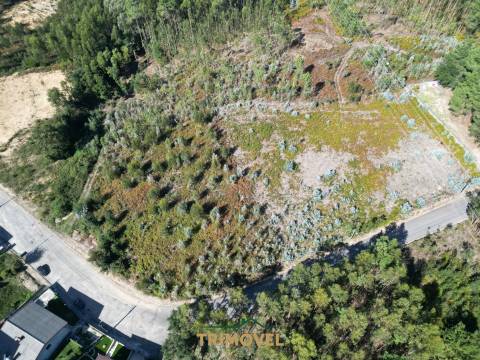 Terreno para construção - Nogueira do Cravo