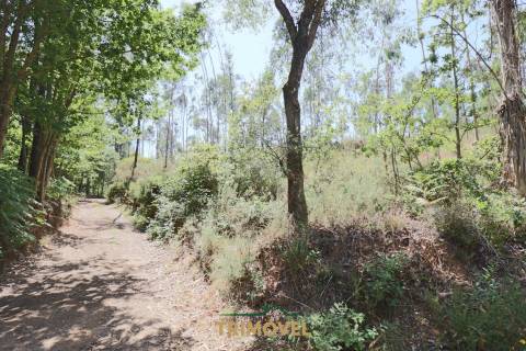 Terreno Rústico  Venda em Milheirós de Poiares,Santa Maria da Feira