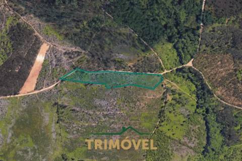 Terreno Rústico  Venda em Milheirós de Poiares,Santa Maria da Feira