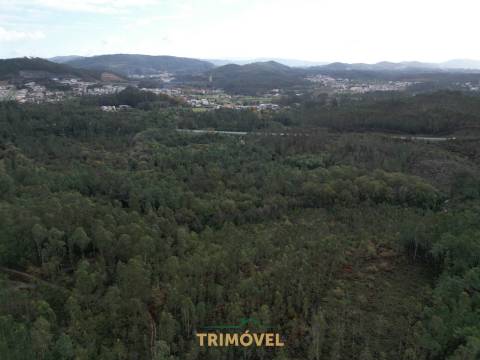 Terreno Rústico  Venda em Milheirós de Poiares,Santa Maria da Feira