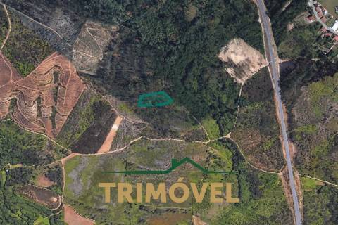 Terreno Rústico  Venda em Milheirós de Poiares,Santa Maria da Feira