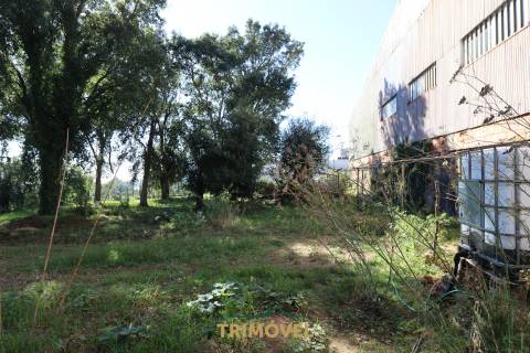 Terreno Urbano  Venda em Oliveira de Azeméis, Santiago de Riba-Ul, Ul, Macinhata da Seixa e Madail,Oliveira de Azeméis