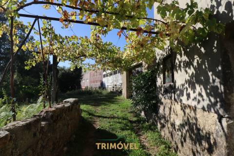 Terreno Urbano  Venda em Oliveira de Azeméis, Santiago de Riba-Ul, Ul, Macinhata da Seixa e Madail,Oliveira de Azeméis