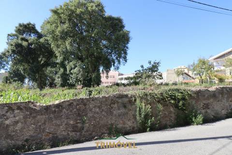 Terreno Urbano  Venda em Oliveira de Azeméis, Santiago de Riba-Ul, Ul, Macinhata da Seixa e Madail,Oliveira de Azeméis
