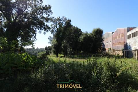 Terreno Urbano  Venda em Oliveira de Azeméis, Santiago de Riba-Ul, Ul, Macinhata da Seixa e Madail,Oliveira de Azeméis