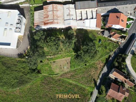 Terreno Urbano  Venda em Oliveira de Azeméis, Santiago de Riba-Ul, Ul, Macinhata da Seixa e Madail,Oliveira de Azeméis