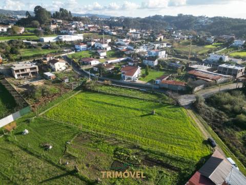 Terreno plano em São Roque, Oliveira de Azeméis