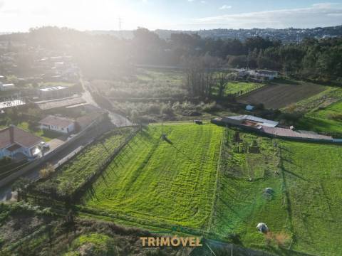 Terreno plano em São Roque, Oliveira de Azeméis