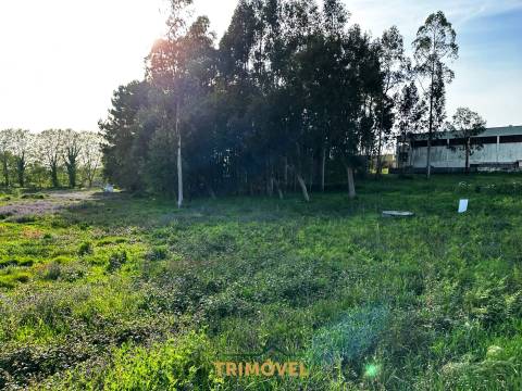 Terreno com Projecto Aprovado