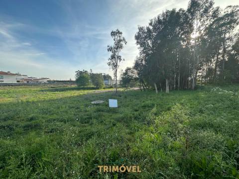 Terreno com Projecto Aprovado