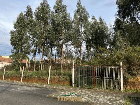 Terreno Para Construção  Venda em Vila de Cucujães,Oliveira de Azeméis