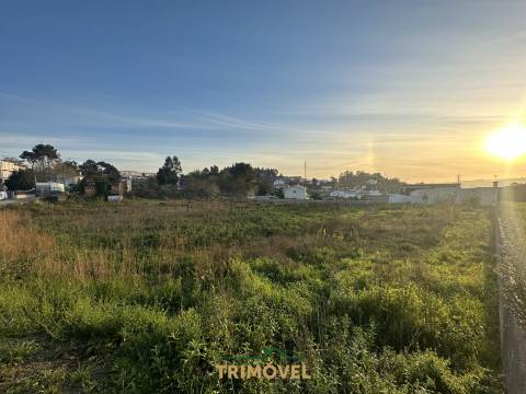 Terreno Para Construção  Venda em Oliveira de Azeméis, Santiago de Riba-Ul, Ul, Macinhata da Seixa e Madail,Oliveira de Azeméis