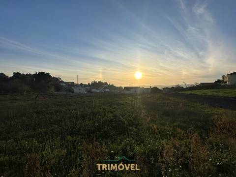 Terreno Para Construção  Venda em Oliveira de Azeméis, Santiago de Riba-Ul, Ul, Macinhata da Seixa e Madail,Oliveira de Azeméis