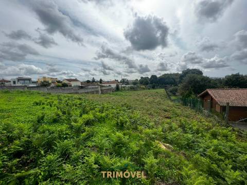 Terreno Para Construção  Venda em São Roque,Oliveira de Azeméis