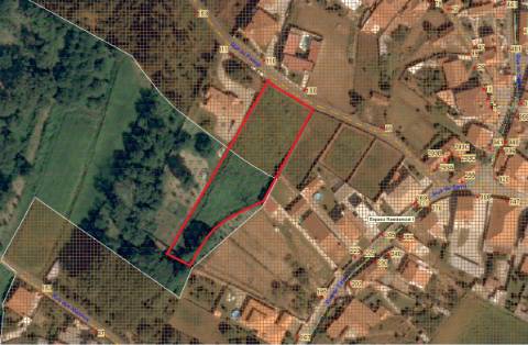 Terreno Para Construção  Venda em São Roque,Oliveira de Azeméis