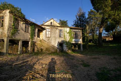 Quinta Secular  em  Santiago de Riba-Ul, Oliveira de Azeméis