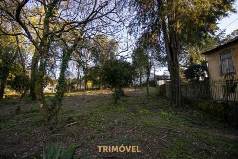 Quinta Secular  em  Santiago de Riba-Ul, Oliveira de Azeméis