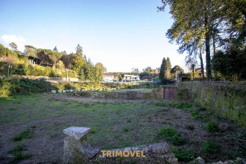 Quinta Secular  em  Santiago de Riba-Ul, Oliveira de Azeméis