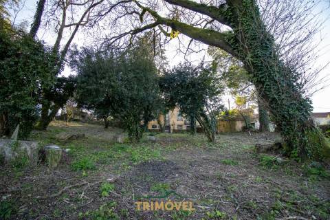 Quinta Secular  em  Santiago de Riba-Ul, Oliveira de Azeméis