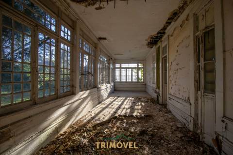 Quinta Secular  em  Santiago de Riba-Ul, Oliveira de Azeméis