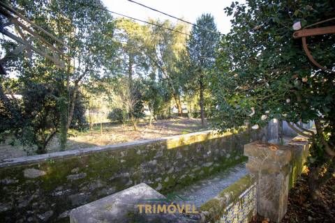 Quinta Secular  em  Santiago de Riba-Ul, Oliveira de Azeméis