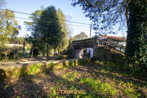 Quinta Secular  em  Santiago de Riba-Ul, Oliveira de Azeméis