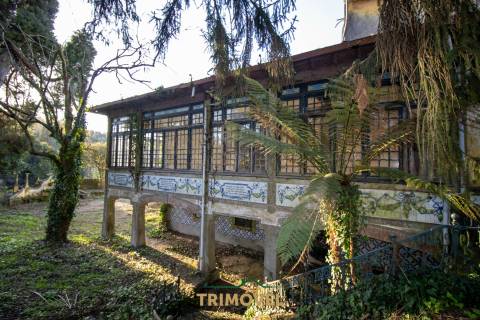 Quinta Secular  em  Santiago de Riba-Ul, Oliveira de Azeméis