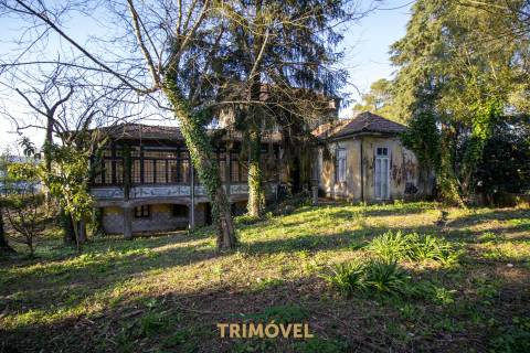 Quinta Secular  em  Santiago de Riba-Ul, Oliveira de Azeméis