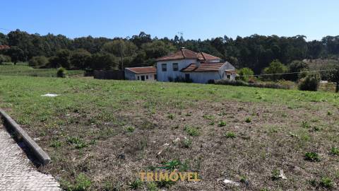 Terreno para Construção em Oliveira de Azeméis