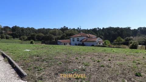 Terreno para Construção em Oliveira de Azeméis