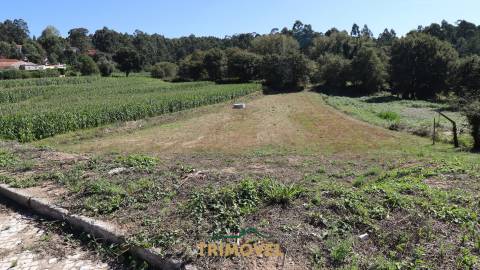 Terreno para Construção em Oliveira de Azeméis