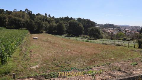 Terreno para Construção em Oliveira de Azeméis