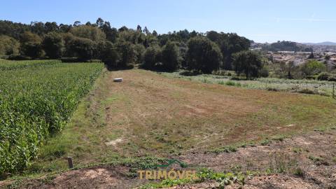 Terreno para Construção em Oliveira de Azeméis