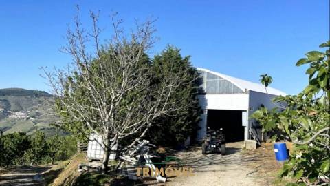 Quinta T5+2 em Pleno Alto Douro Vinhateiro