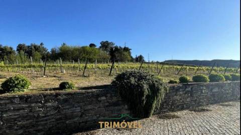 Quinta T5+2 em Pleno Alto Douro Vinhateiro
