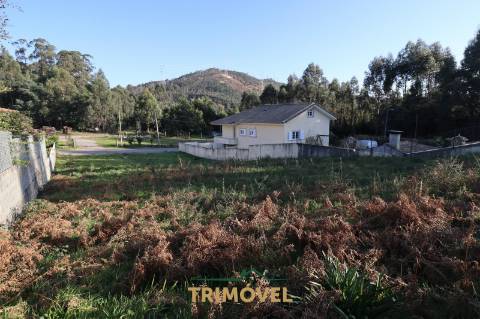 Lote de Terreno em Pindelo, Oliveira de Azeméis