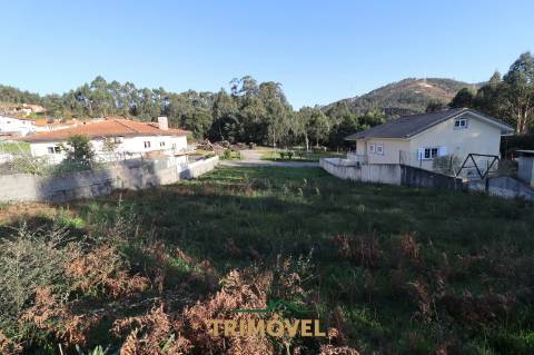 Lote de Terreno em Pindelo, Oliveira de Azeméis