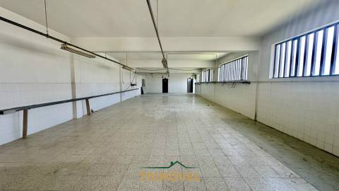 Fábrica/Indústria  Arrendamento em São Roque,Oliveira de Azeméis